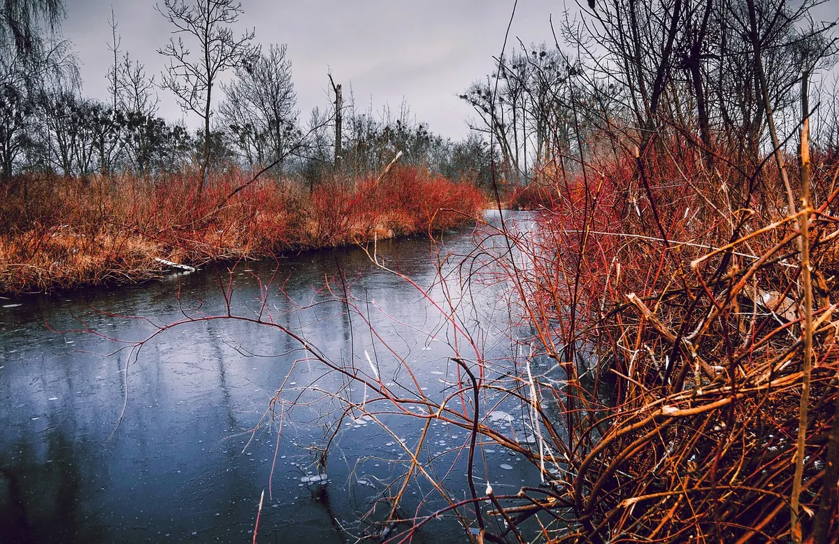 Suffolk Coastal Winter Walks: A Seasonal Guide to Aldeburgh and Southwold