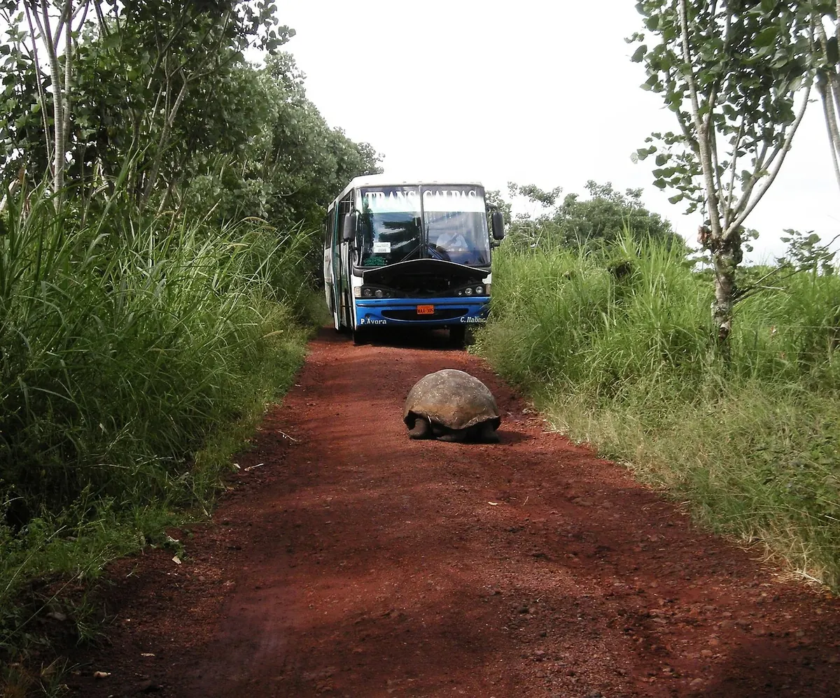 Why Suffolk's Rural Bus Routes Need Better Funding Before Winter